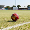Readers Regal Crown A Cricket Ball