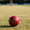 Readers Five Wickets Presentation Cricket Ball