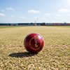 Readers Century Presentation Cricket Ball