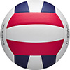 Wilson Thrive Competition Indoor Volleyball 