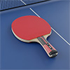 Dunlop Evolution 3000 Table Tennis Bat