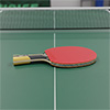 Dunlop Revolution 5000 Table Tennis Bat