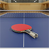 Dunlop Revolution 7000 Table Tennis Bat