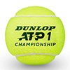 Dunlop ATP Championship Tennis Ball 