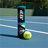 Dunlop ATP Championship Tennis Ball 