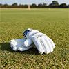 Gray Nicolls Player Edition XDX Wicket Keeping Gloves