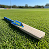 Elders Club Cricket Bat