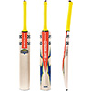 Gray Nicolls Cricket Bat Havoc 1.0 Warrior