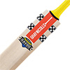 Gray Nicolls Cricket Bat Havoc 1.0 Warrior
