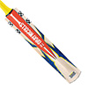 Gray Nicolls Cricket Bat Havoc 1.0 Warrior