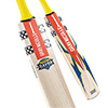Gray Nicolls Cricket Bat Havoc 1.0 Warrior