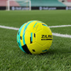 Ziland Pro Trainer Football 8 Pack
