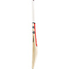 Gray Nicolls Cricket Bat Classic Academy