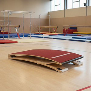 Gymnastics Dineema Springboard