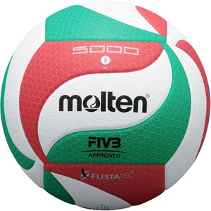 Molten NCAA Volleyball Blue/Gray/White MS500-N 
