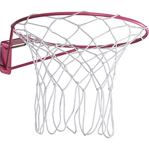 Gilbert Academy Wall Mounted Netball Ring Set