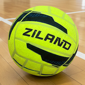 Ziland Pro Indoor Football