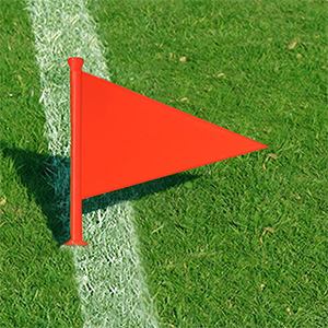 Elders Orange Plastic Marking Flag