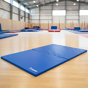 Beemat Gymnastic Mat Lightweight 6ft x 4ft