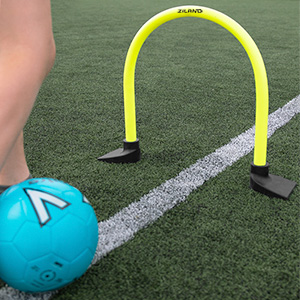 Ziland Academy Astro Passing Hoop