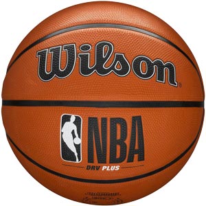 wilson evolution basketball price