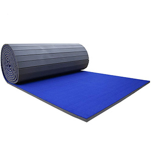 Beemat Carpet Gymnastic Roll Out Mat