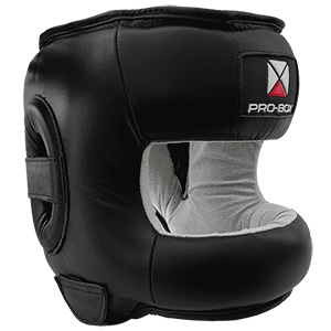 Pro Box Facesaver Headguard