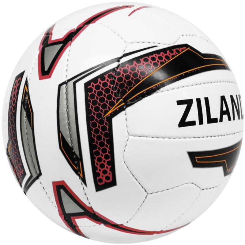 Ziland Pro Match Football
