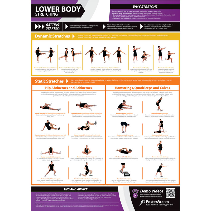 PosterFit Lower Body Stretching Poster