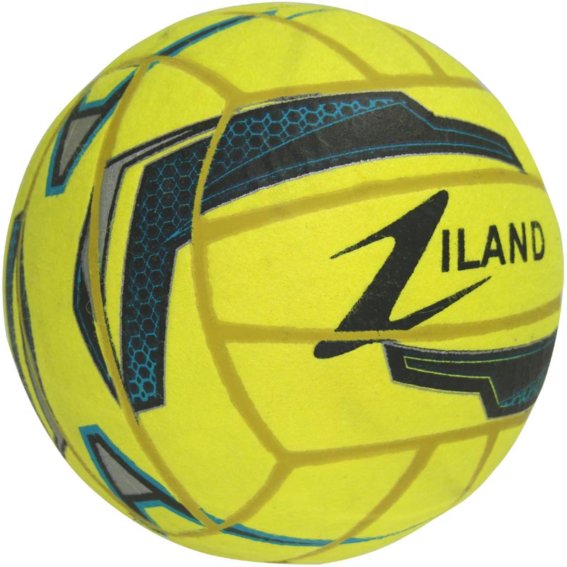 Ziland Pro Indoor Football