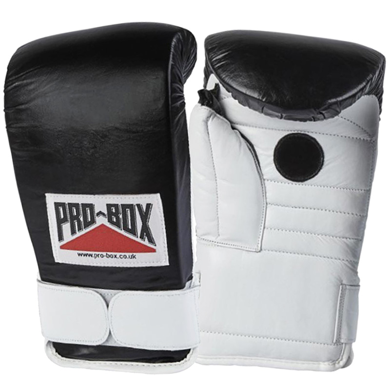 Pro Box Coach Spar Gloves