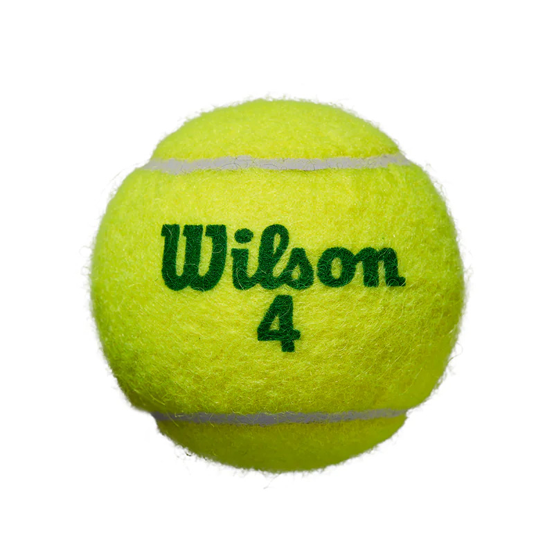 Wilson Starter Play Green Tennis Balls