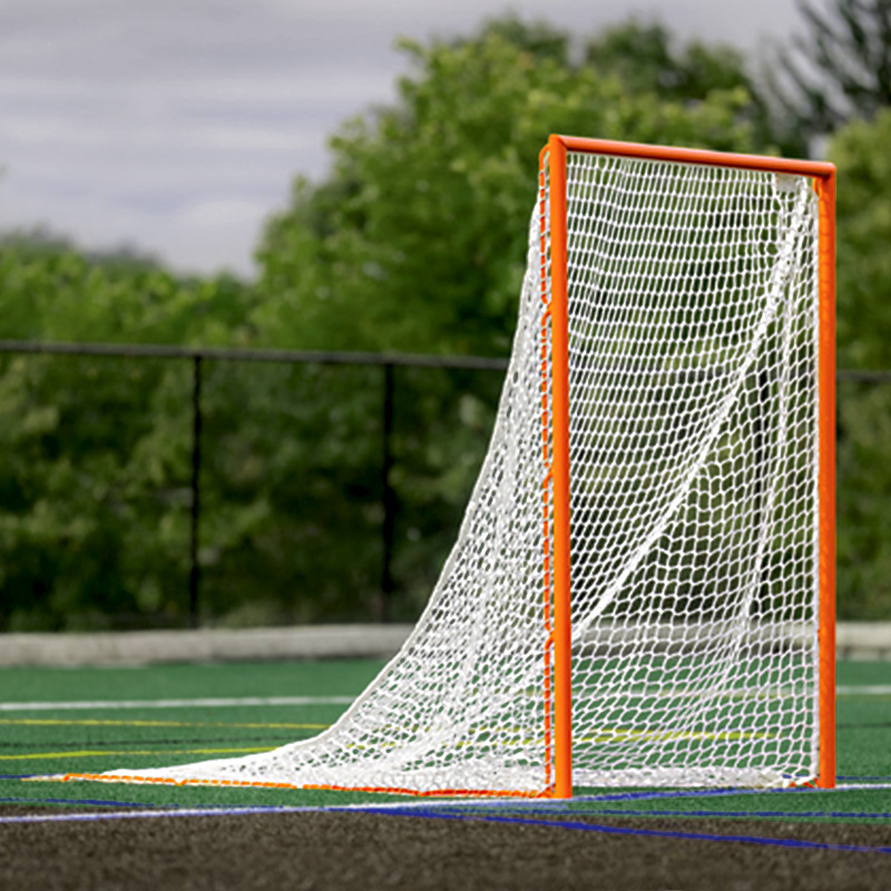 Elders Professional Lacrosse Goal